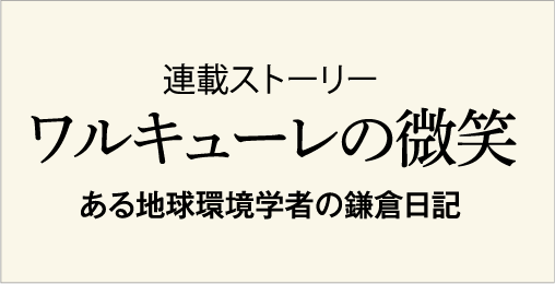 ワルキューレの微笑