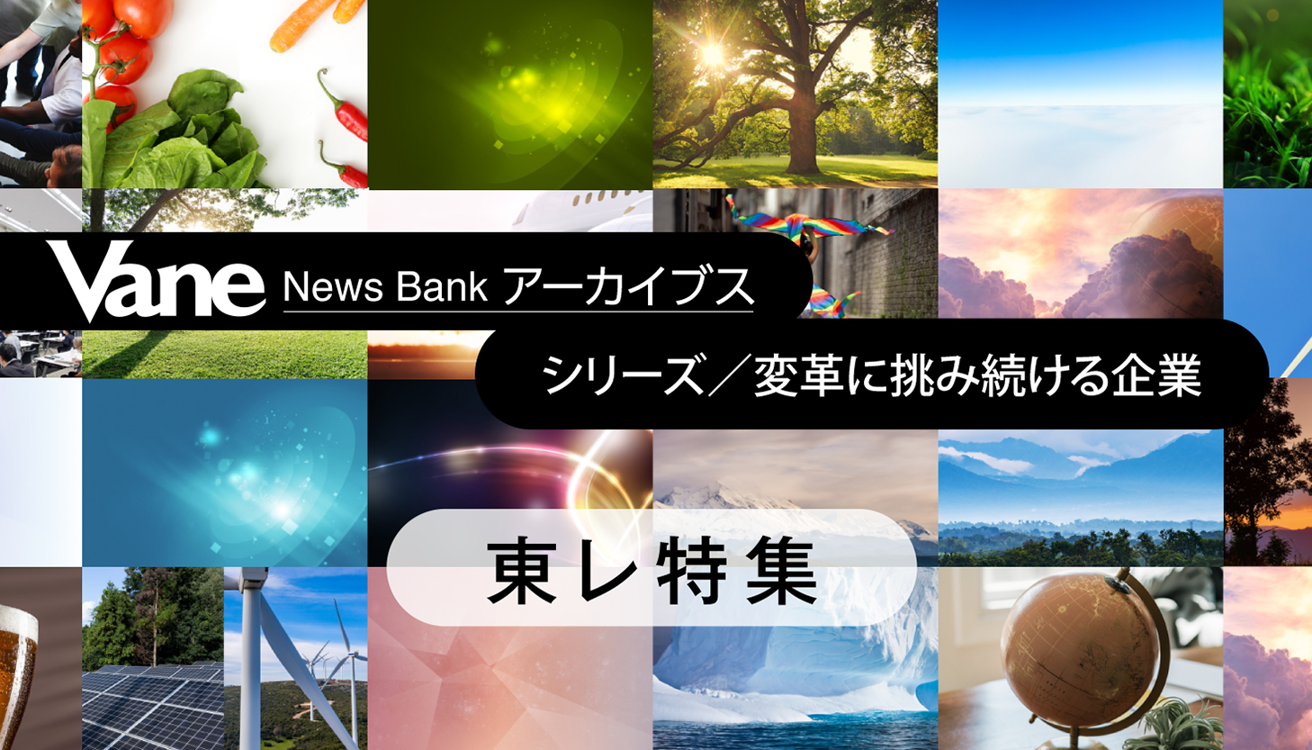 Vane News Bank アーカイブス　東レ株式会社