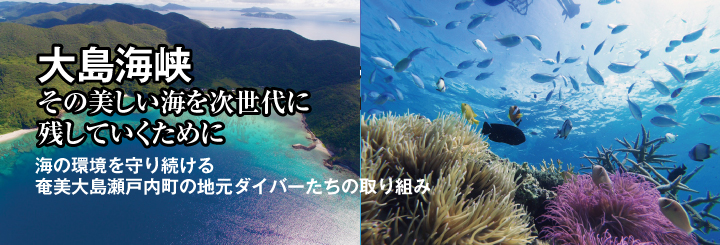 大島海峡、その美しい海を次世代に残していくために。 海の環境を守り続ける、奄美大島瀬戸内町の地元ダイバーたちの取り組み