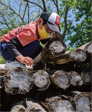 森に触れる子供たち