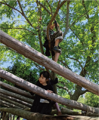 森に触れる子供たち