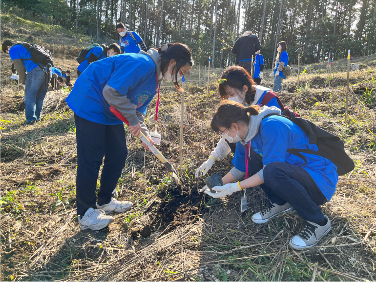 植樹の様子