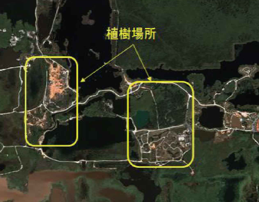 植樹前の衛星観測画像